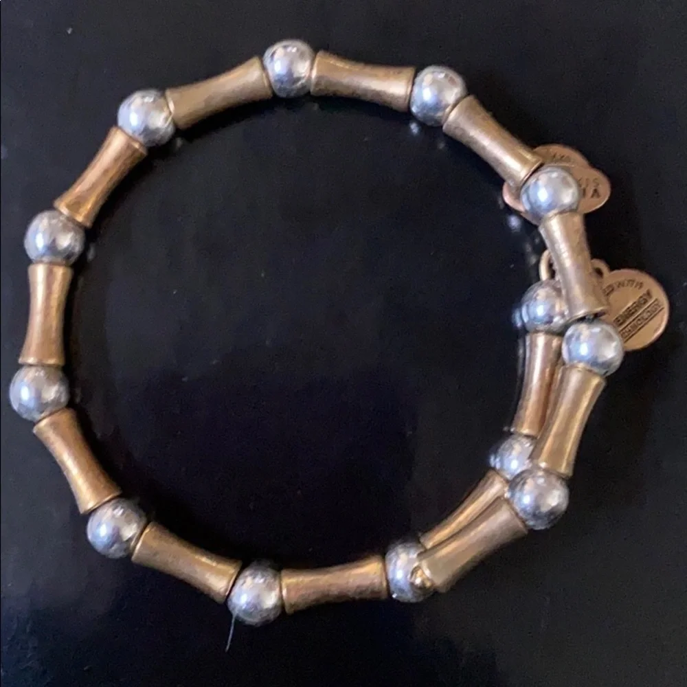 Alex and Ani mixed metal bead bangle